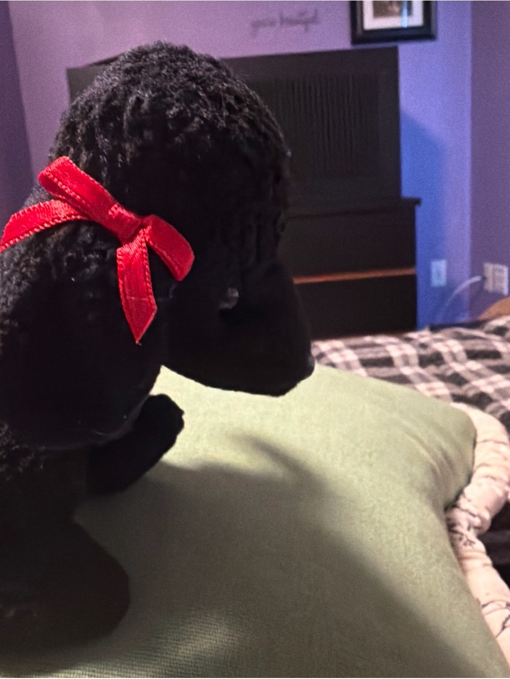 Gigi TY Beanie Baby 1997 1998 Poodle with *Tag Anomalies* Retired - Picture 2 of 9